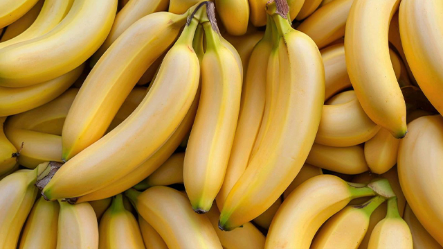 Organic Bananas