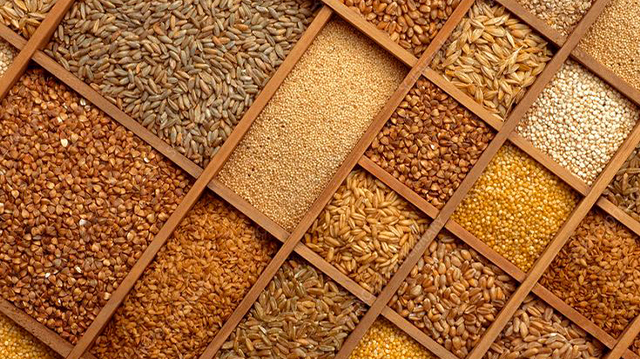 Food Grains