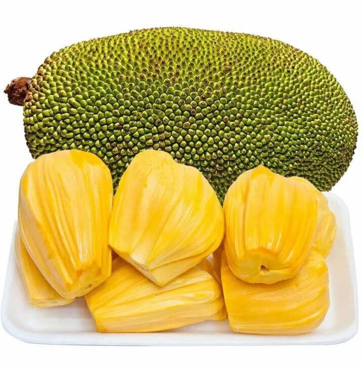 Vietnam Early Jackfruit